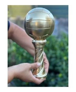 Voleybol Kupası Gold Kaplama 30cm