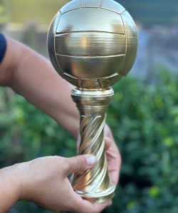 Voleybol Kupası Gold Kaplama 30cm