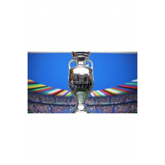 Euro 2024 Cup Gümüş Renk (GERÇEK BOYUT) 1 Kg