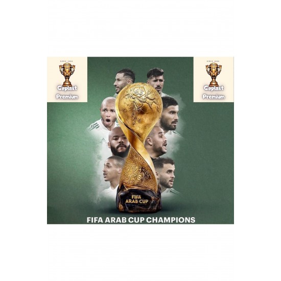 Fifa Arab Cup Qatar (20CM 500GR)