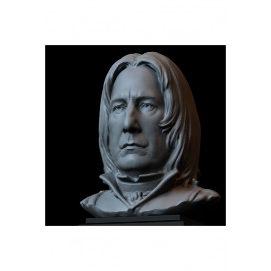 SEVERUS SNAPE FİGÜR, BÜST, PORTRE, HEYKEL, 153MM X 130MM