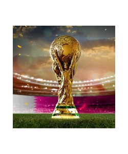 36,5 Cm Boy Fifa World Cup - Dünya Kupası 500gr