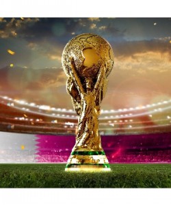 36,5 Cm Boy Fifa World Cup - Dünya Kupası 500gr